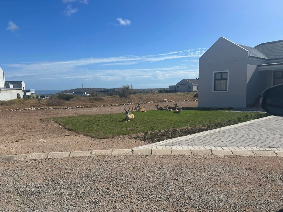 To Let 3 Bedroom Property for Rent in Hoogland Western Cape